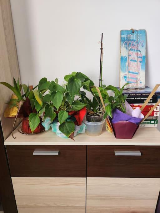 Modern Apartment. Best Location Софія Екстер'єр фото